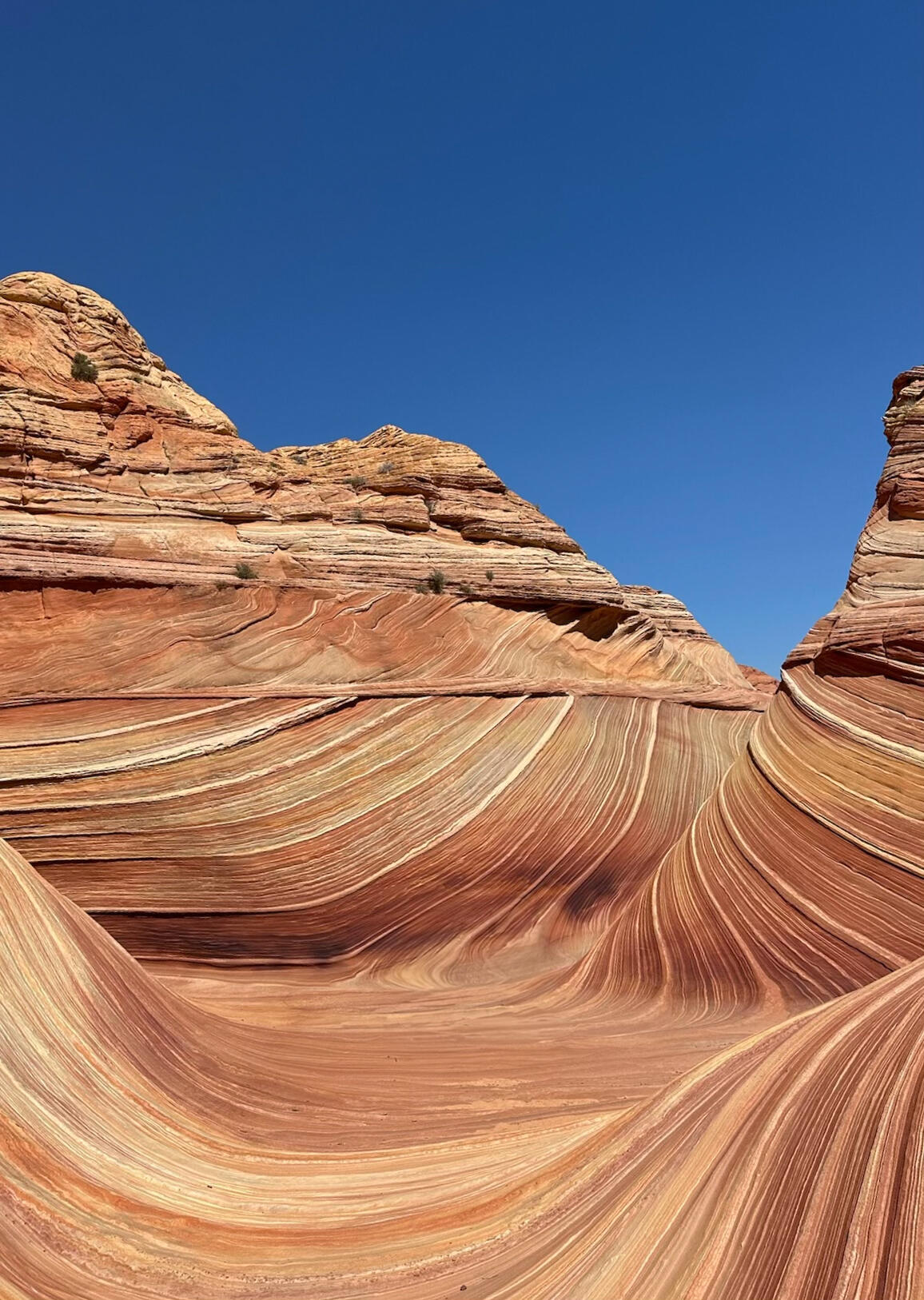 The Wave at Coyote Buttes North in July